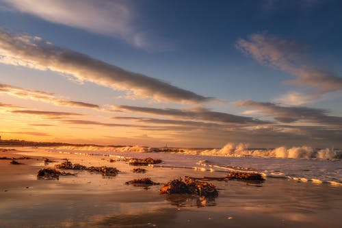 有关冷静, 天堂, 天性的免费素材图片