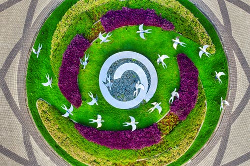 有关圆形, 工厂, 树木的免费素材图片