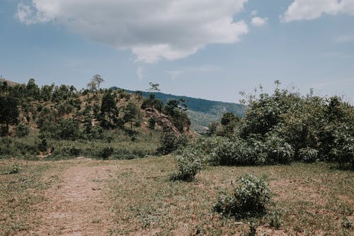 有关冷静, 原本, 和平的免费素材图片