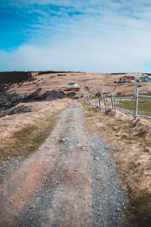 有关乾旱, 乾的, 人行道的免费素材图片