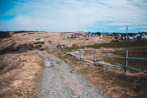 有关乾旱, 乾的, 人行道的免费素材图片