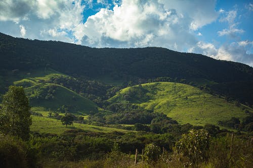 有关公园, 冷静, 和平的的免费素材图片