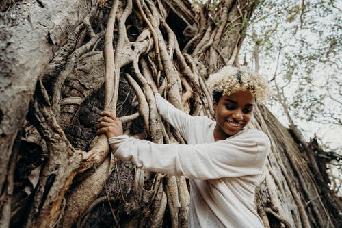 有关利亚纳, 印度, 丛林的免费素材图片