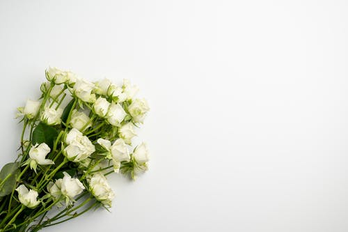 有关Copyspace, 一串, 什锦的的免费素材图片