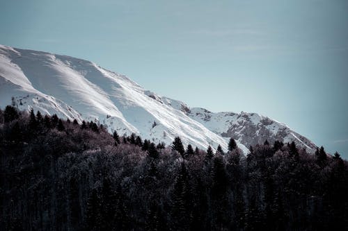 有关下雪的, 冬季, 冷的免费素材图片