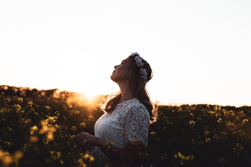 有关享受, 夏天, 天性的免费素材图片