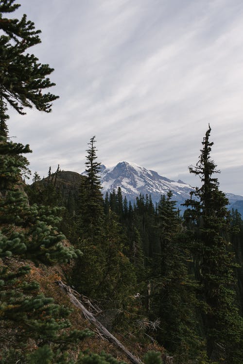 有关了望山, 国家公园, 垂直拍摄的免费素材图片