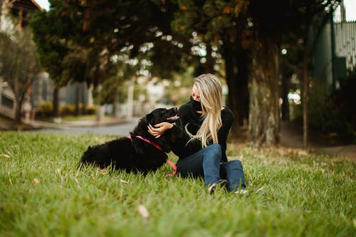 女人在草坪上爱抚的狗 · 免费素材图片