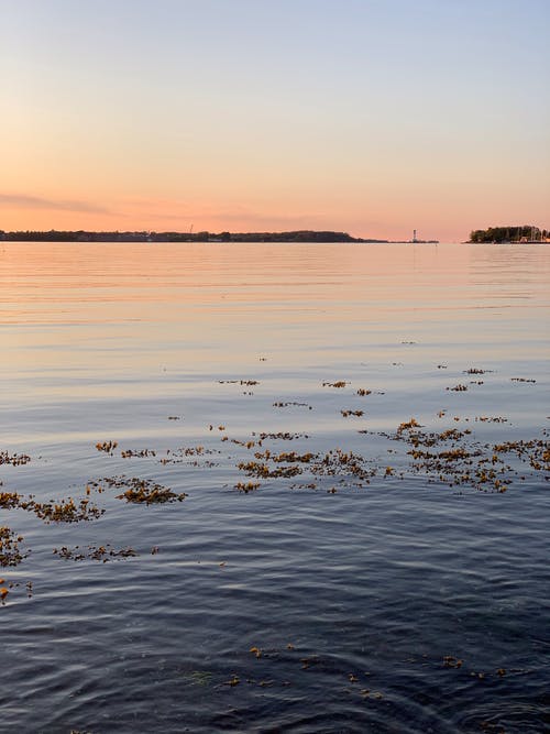 有关冷静, 剪影, 反射的免费素材图片