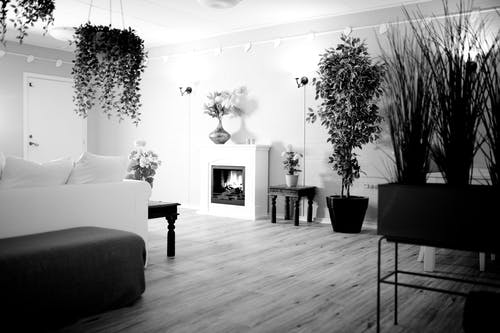 有关bw, 不动产, 休息室的免费素材图片