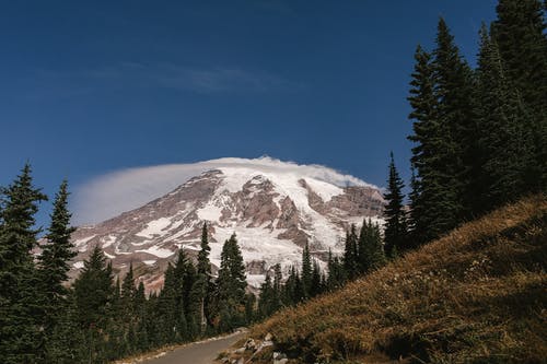 有关了望山, 国家公园, 多雨的免费素材图片