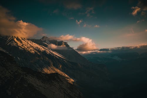 有关冷静, 华丽的, 和平的的免费素材图片