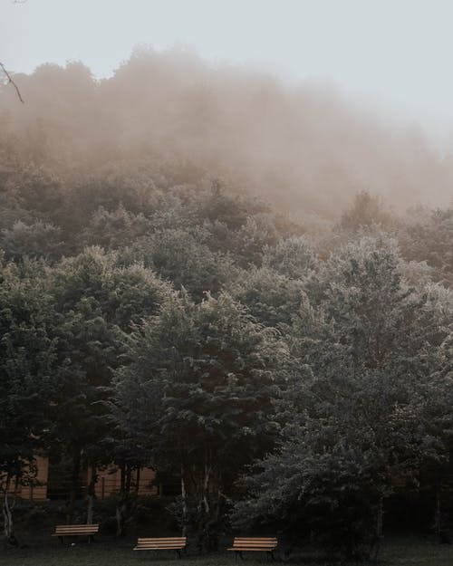 有关享受, 公园, 冷静的免费素材图片