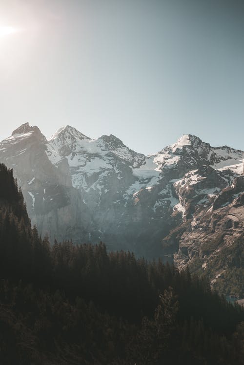 树木横跨雪覆盖的山 · 免费素材图片