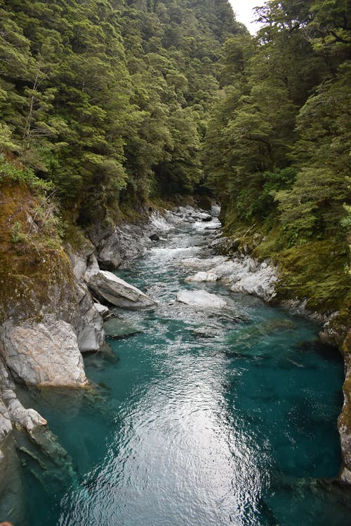 有关垂直拍摄, 天性, 急流的免费素材图片