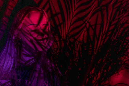 有关人脸, 光, 分公司的免费素材图片