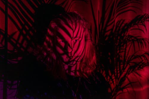 有关人脸, 光, 分公司的免费素材图片