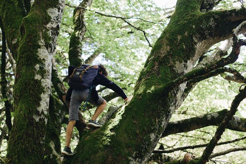 有关人, 休闲, 全景的免费素材图片