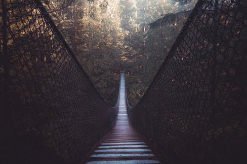 有关カニョン?リン, 不列颠哥伦比亚省, 人行天桥的免费素材图片