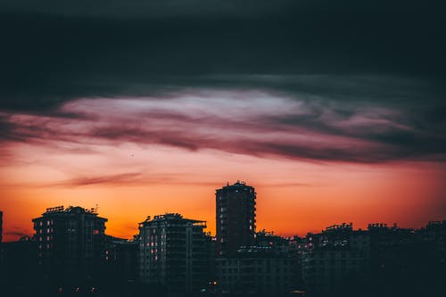 有关充满活力, 冷静, 剪影的免费素材图片