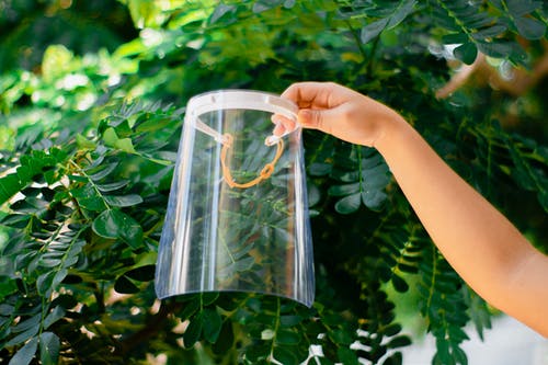 有关人, 保护, 保护物的免费素材图片