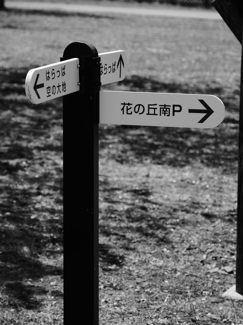 有关bw, 不均匀的, 乾的的免费素材图片