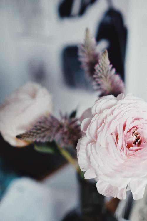 有关一串, 作文, 优雅的免费素材图片