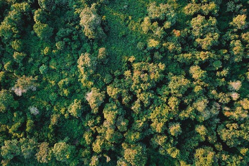 有关俯视图, 冷静, 和平的的免费素材图片