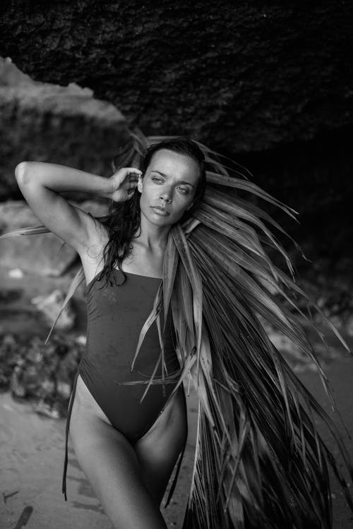 有关bw, 享受, 假日的免费素材图片