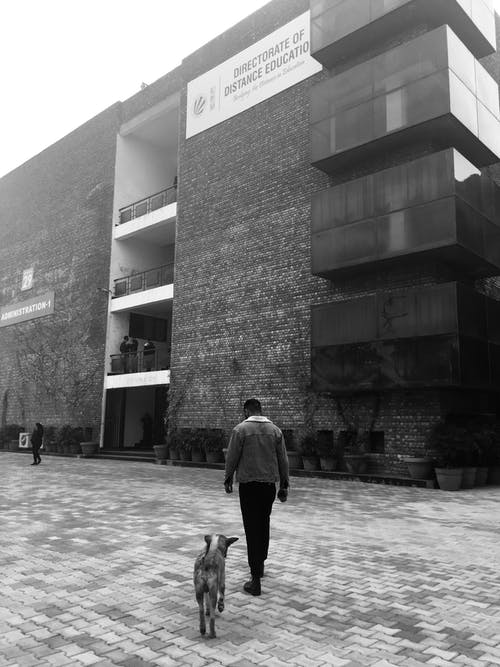 有关bw, 一起, 不露面的免费素材图片