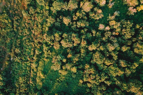 有关俯视图, 冷静, 华丽的的免费素材图片