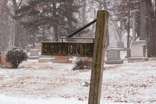 有关公告板, 冬季, 冷的免费素材图片