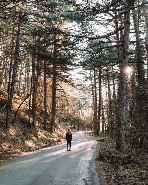 有关人行道, 休闲, 健行的免费素材图片