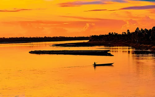 有关冷静, 划船, 剪影的免费素材图片