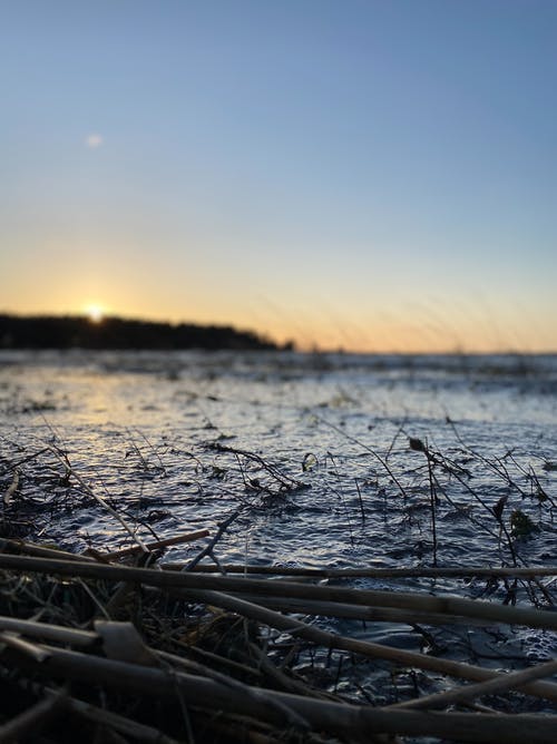 有关Copyspace, 假期, 冷静的免费素材图片