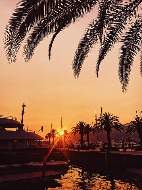 有关假期, 冷静, 剪影的免费素材图片