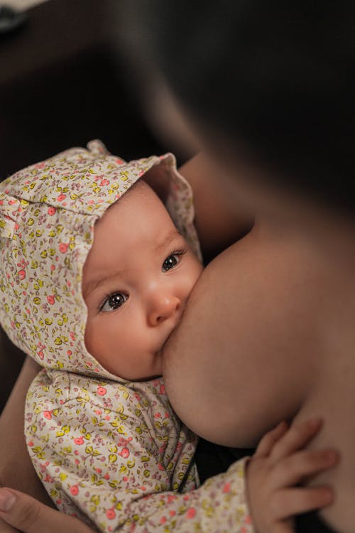 母亲母乳喂养她的婴儿 · 免费素材图片