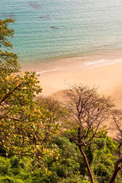 有关冷静, 和平的, 和谐的免费素材图片