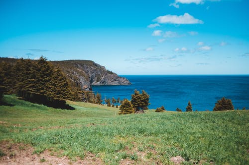 有关仙境, 冷静, 华丽的的免费素材图片