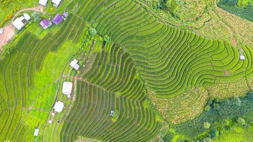 有关亚洲, 传统, 冷静的免费素材图片