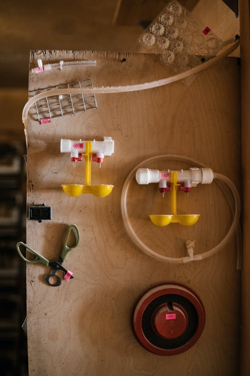 有关一般开销, 俯视图, 健康的免费素材图片