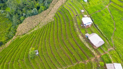有关不均匀的, 划船, 和谐的免费素材图片