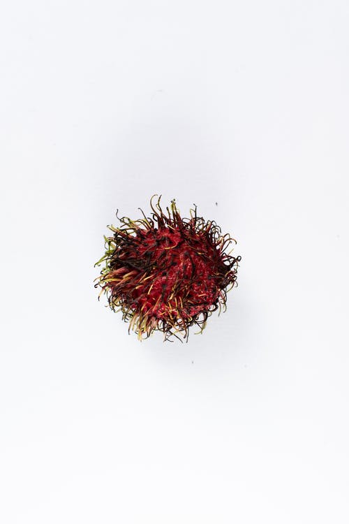 有关一般开销, 低卡路里, 俯视图的免费素材图片