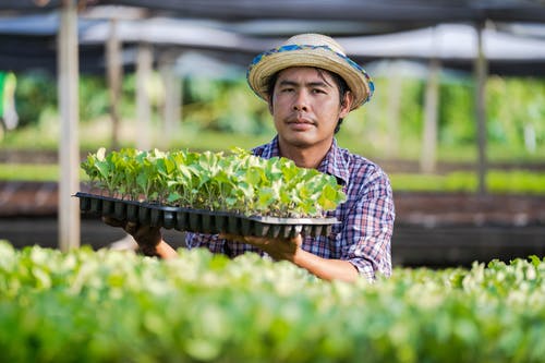 有关人, 健康, 家伙的免费素材图片