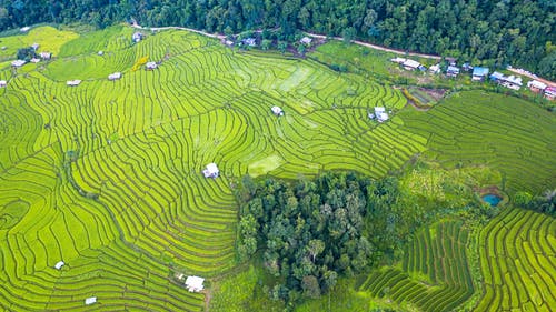 有关冷静, 和平的, 和谐的免费素材图片