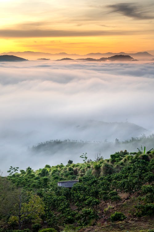 有关健行, 冷静, 华丽的的免费素材图片
