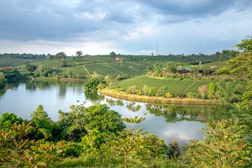 有关冷静, 反射, 和平的的免费素材图片