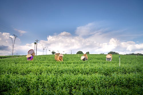 有关Copyspace, 不露面, 亚洲的免费素材图片