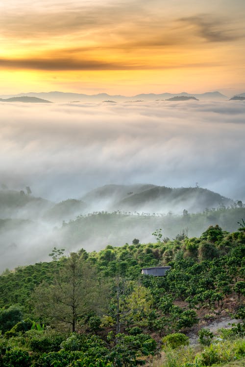 有关冷静, 华丽的, 和平的的免费素材图片