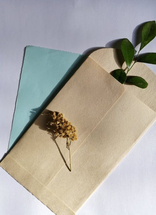 有关一般開銷, 作文, 信封的免费素材图片